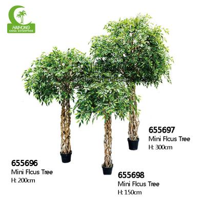 China Ningún árbol plástico de cuidado de los ficus de H150cm, pequeño artículo artificial del árbol en venta