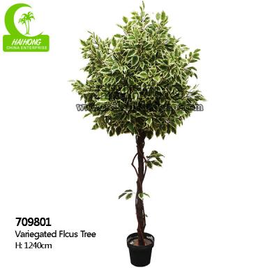China Wholesaler Popular Beautiful 165cm Artificial Variegated Ficus Tree Indoor Decor And Space Landscaping for sale
