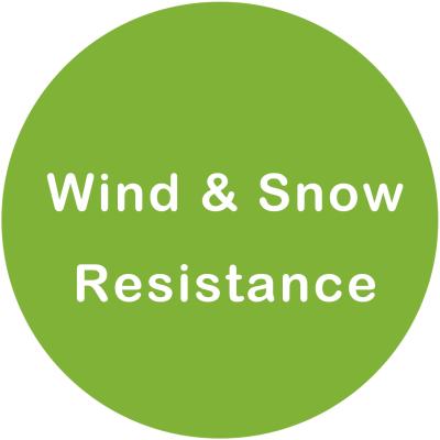 Китай Дерево ветра и фикуса аттестации сопротивления снега искусственное продается