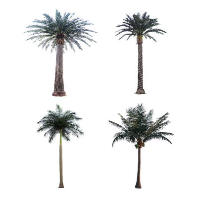 China Wind Resistance Anti Aging 1200cm Artificial Tropical Tree For Hotle for sale