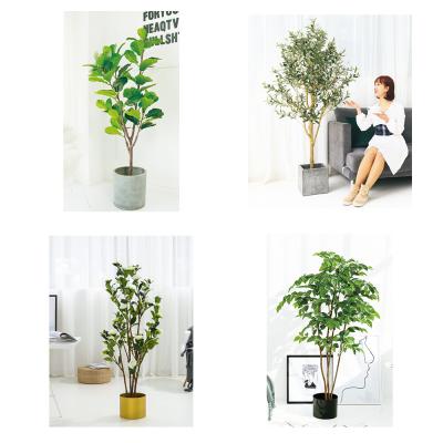 China Home Decoration Aesthetic Easy To Care Artificial Ficus Tree 1.6m for sale