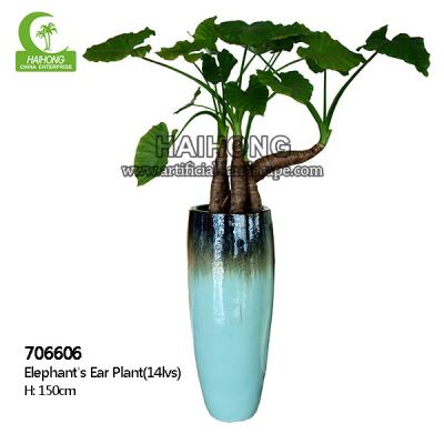 China High Simulation Natural Elephant's Ear Plant With Beautiful Pots for sale