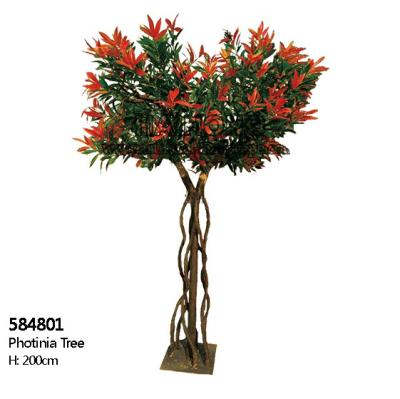 China Height 200cm Plastic Photinia Artificial Landscape Trees For Office Decoration for sale