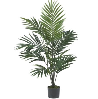 China Height 220cm Green Artificial Plant For Indoor Decoration Kentia Palm Tree for sale