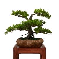 中国 OEMの空港のための高い模造人工的な景色の木 販売のため