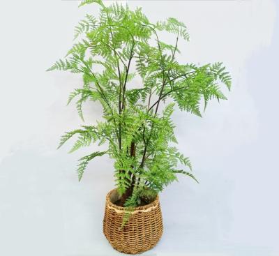 China Lifelike Green Artificial Tropical Plant For Office Table Decor Boston Fern for sale