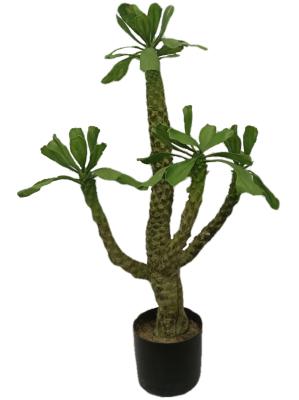 China Hoogte 100cm Kunstmatige Landschapsbomen Pachypodium Lamerei Drake Indoor Decor Te koop