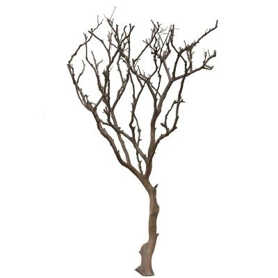 China Lámparas secas artificiales artísticas Art Exhibition casero de las ramas de árbol en venta