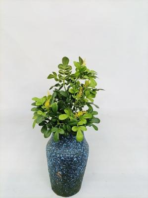 China Decoración artificial de Gardenia Bush Home Garden Table de la altura de los 20CM en venta