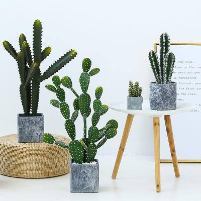China Cactus de la moda y planta plástica falsa suculenta para la decoración casera en venta