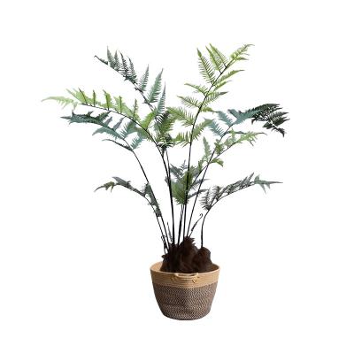China 150cm Height Artificial Green Potted Bonsai Window Corner Landscaping Large Fern Tree for sale