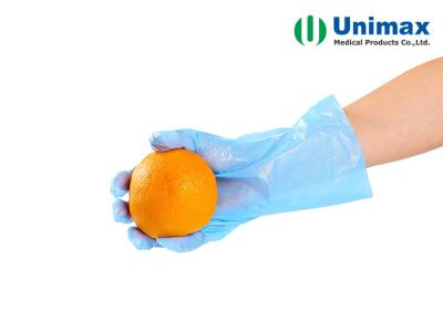 China Food Handling CPE Disposable Clear Plastic Gloves 0.045mm for sale