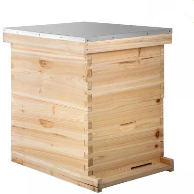 China 8 Frame 10 Frame Complete Beehive Kit Beeswax Coated 2 Layer for sale
