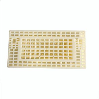 China Square Plastic Queen Bee Cage , Anti Theft Bee Keeping Accessories for sale