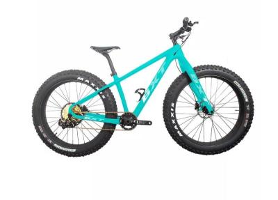 China 26 Carbon Snow Fat Bike Disc Brake Full Carbon Fiber 12 Speed Beach Cycle for sale