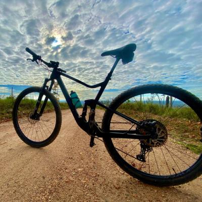 China Bicicleta completa 29er da fibra MTB do carbono do freio de disco da bicicleta 11Speed da montanha à venda