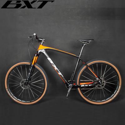 China Full Carbon Complete Mountain Bikes Disc Brake 29er Shimano Group 11 Speed for sale
