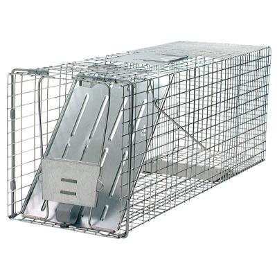 China Humane Live Animal Cage Trap Mouse Rat Skunks Catch Bait Hunting Survical Small Animal for sale