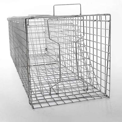 China Large One Door Catch Release Heavy Duty Cage Live Animal Trap for Gophers / Oppossums Groundhogs Beavers for sale