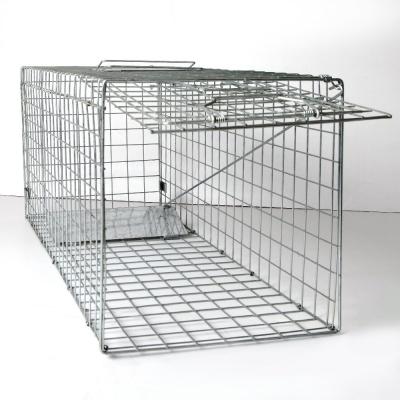 China Animal Control Catch Bait Hamster Mouse Trap Cage for sale