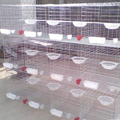 China 4 Tiers Wire Mesh Racing Pigeon Breeding Cages for sale