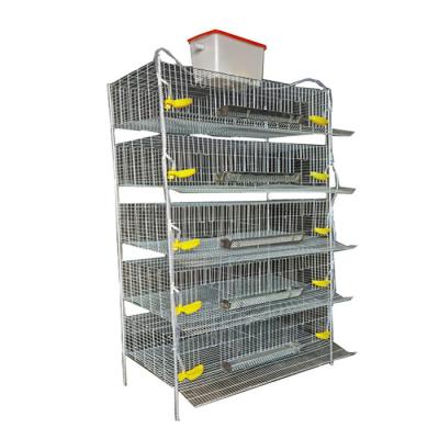 China Full Automatic Feeding Metal Quail Laying Cage Water Drinker for sale