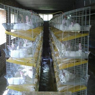 China Meat Rabbit Cages Large Commercial Breeding Cages for Rabbits for sale