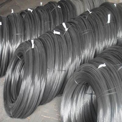 China Cold Drawing SAE1006 SAE1008 Wire Rod Steel Coil for Nail for sale
