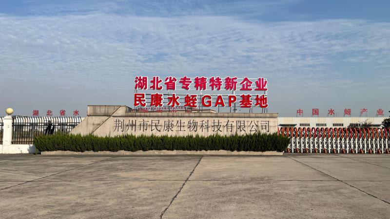Verified China supplier - Jingzhou Minkang Biotechnology Co., Ltd.