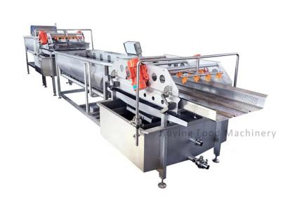 China 1500kg/h Vegetable Fruit Washing Machine Automatic Salad Production Line for sale