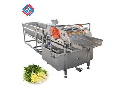 China Industrial Leafy Vegetable Fruit Washing Machine For Asparagus Mushroom Salad for sale