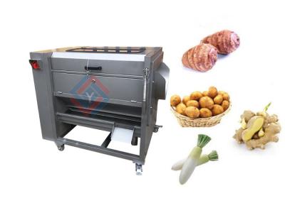 Chine Machine économiseuse d'énergie de Peeler de fruits et légumes pour l'industrie alimentaire à vendre