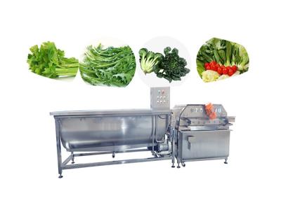China Bubbling Vegetable Fruit Washing Machine Salad Cleaning Frozen Vegetable Lettuce Production Line for sale