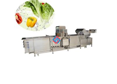China Máquina del limpiador de la fruta y verdura de 1000 kilogramos, lavadora de la hierba de la lechuga del ajo en venta