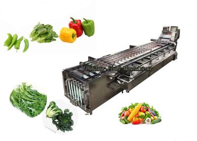 China IQF Salad Production Line Vegetable Fruit Potato Chips Porcessing Machinery for sale