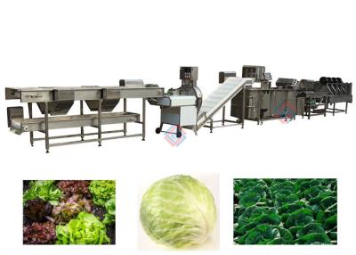 China Linha de processamento do legume com folhas da maquinaria do processamento vegetal da alface à venda