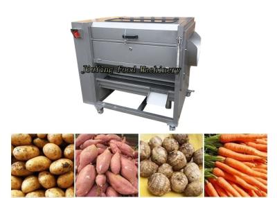 China Automatic SUS Brush Peeling And Washing Machine Root Vegetable Cleaner And Skinner for sale