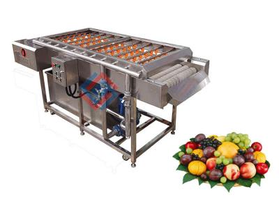 China Stainless Steel Automatic Fruit Brush Washing Machine / Peach Red Dates Cleaning Equipment for sale