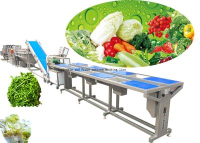 China Customized Vegetable Processing Equipment / Fruit And Vegetable Washer Machine for sale