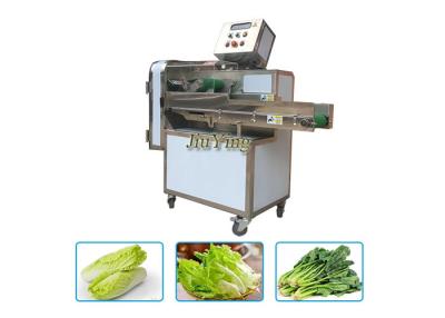 China Leafy Vegetable Processing Equipment Green Onion Cabbage Cutter Machine for sale
