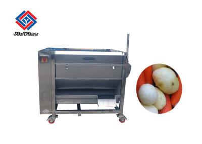 China 1.5KW 300-500KG/H Vegetable Fruit Washing Machine Carrot Cleaning Machine for sale