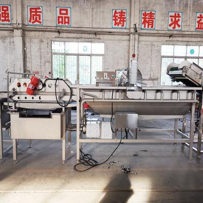 China Multi - Functional Salad Production Line  / Spinach Vegetable Processing Line for sale
