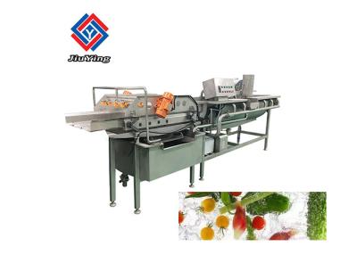 China 800-1000kg/H Vegetable Fruit Washing Machine Salad Processing Equipment for sale