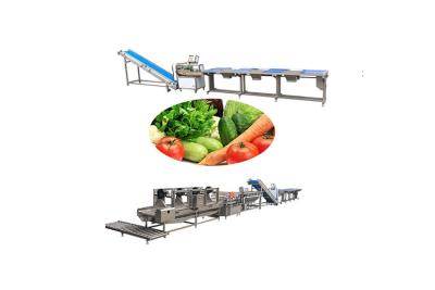 China 10KW Vegetable Salad Cabbage Lettuce Washing Production Line for sale