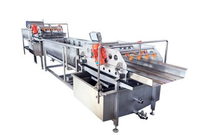 China Máquina de proceso del lavado de los mariscos de Salmon Fish 4.8KW de la burbuja de aire en venta