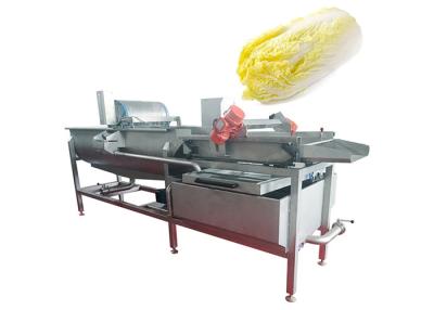China 304 SS Vegetable Fruit Washing Machine Salad Cleanning Equipment for sale