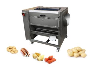 China 500KG/H Sweet Potato Peeling Machine Carrots Ginger Cassava Onion Cleaning for sale