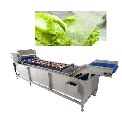 China Belt Type 2T/H Vegetable Fruit Washing Machine High Pressure Spray Washing Machine for sale
