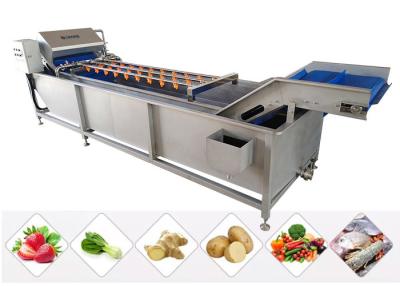 China 13.8KW Vegetable Fruit Washing Machine Salad Lettuce Spinach Processing Line for sale
