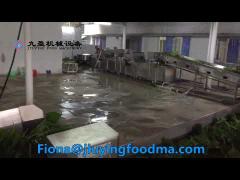 Leafy Vegetable Washing Machine Cleaning Washer Equipment Production Line